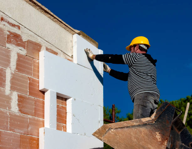 Best Best Insulation Companies  in Hamlin, WV