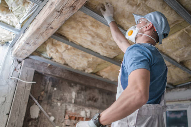  Hamlin, WV Insulation Contractor Pros