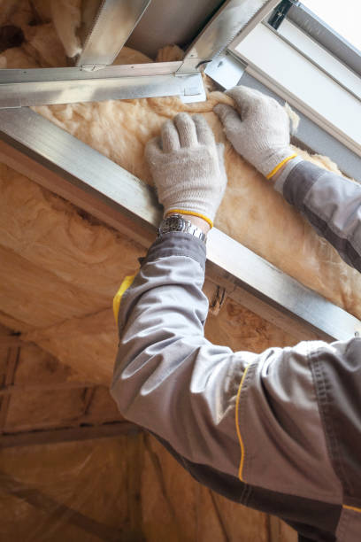 Best Energy-efficient Insulation  in Hamlin, WV