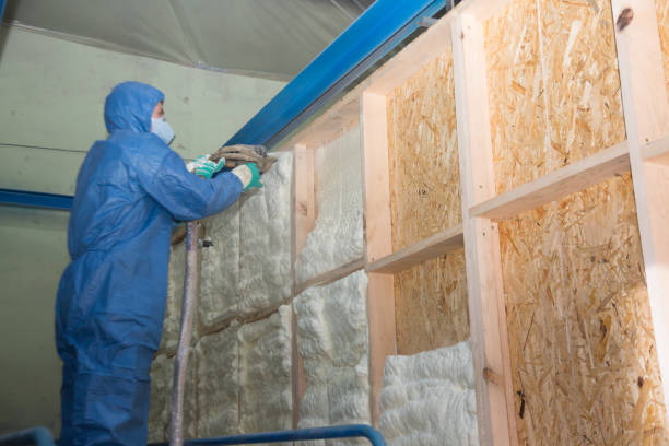 Best Commercial Insulation Contractor  in Hamlin, WV