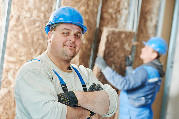 Best Attic Insulation Installation  in Hamlin, WV