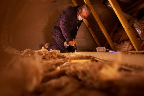 Best Professional Insulation Contractor  in Hamlin, WV